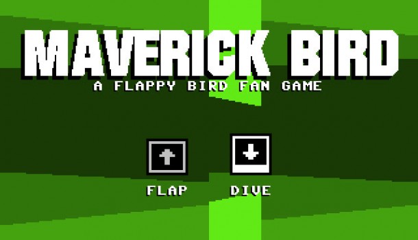 Test : Maverick Bird