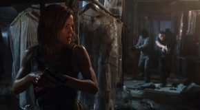 CRITIQUE DVD: PEPPERMINT