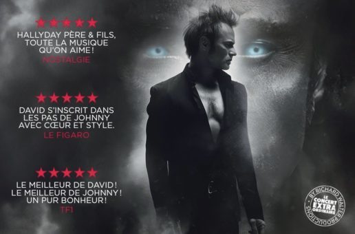 DAVID HALLYDAY : REQUIEM POUR UN FOU